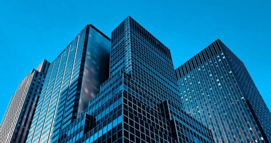 limited liability company